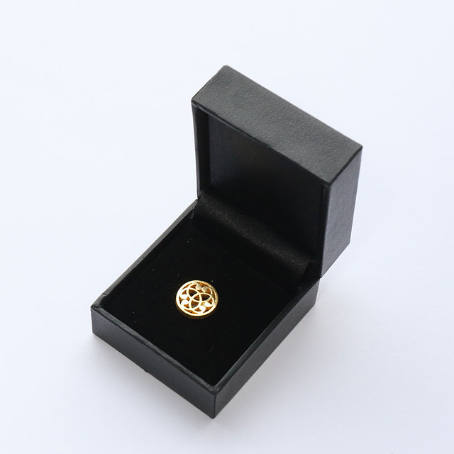 Distintivo de alfinete de lapela de ferro com logotipo personalizado de metal macio esmaltado